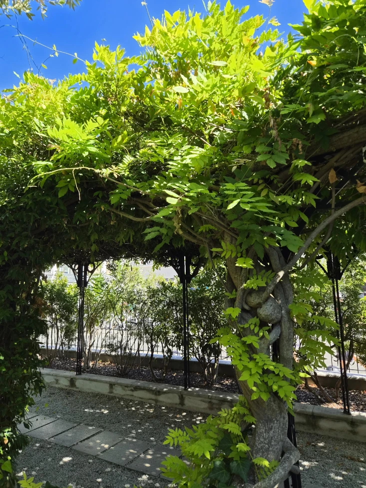 Pergola sur Mesure